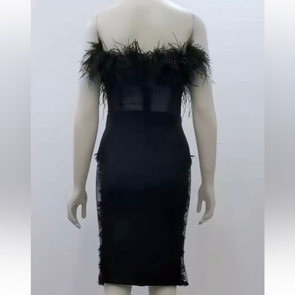 Black Strapless Ostrich Feather Trim Mini Dress with Lace Mesh Side Panels - Picture 8 of 8
